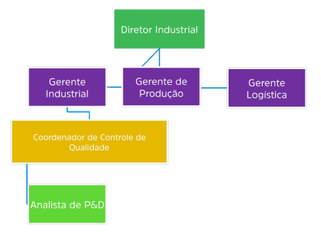 Estrutura Organizacional