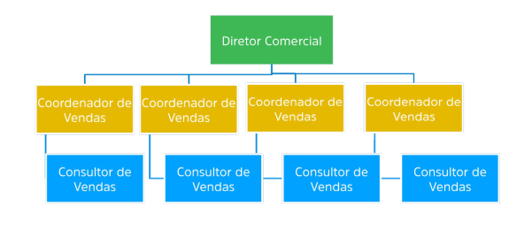 Estrutura Organizacional